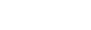 Pro Limo Setup Services